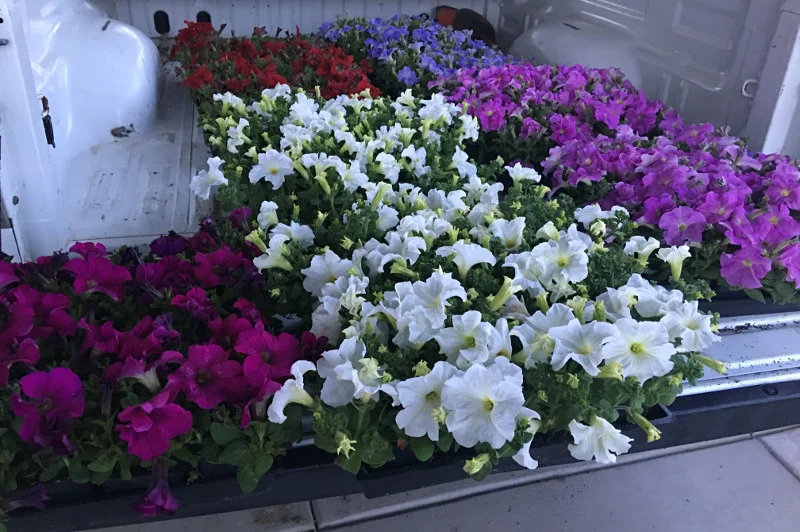 Landscaping Services