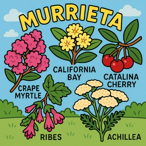 Murrieta Commercial and Estate Gardening Services